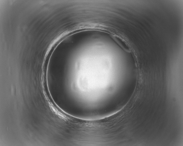 X0000086251136200703291359