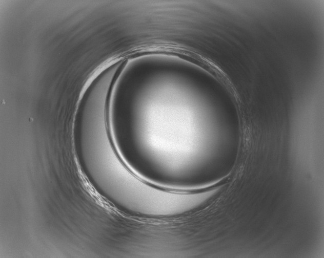 X0000086251138200703291359