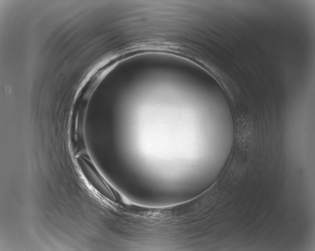 X0000086251139200703291359