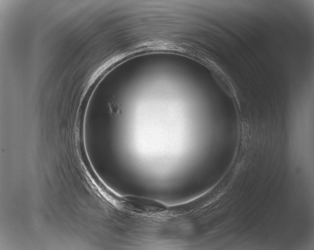 X0000086251141200703291359