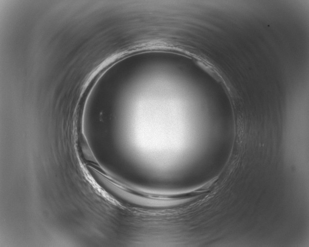 X0000086251142200703291359