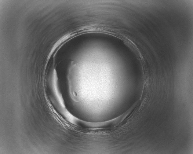 X0000086251146200703291400