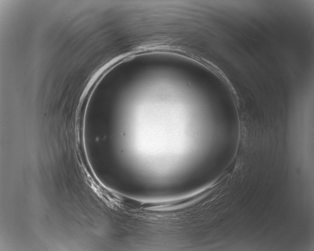 X0000086251148200703291400
