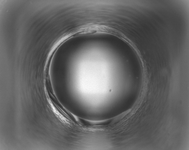 X0000086251152200703291400