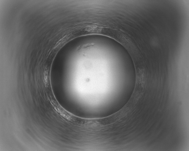 X0000086251154200703291359
