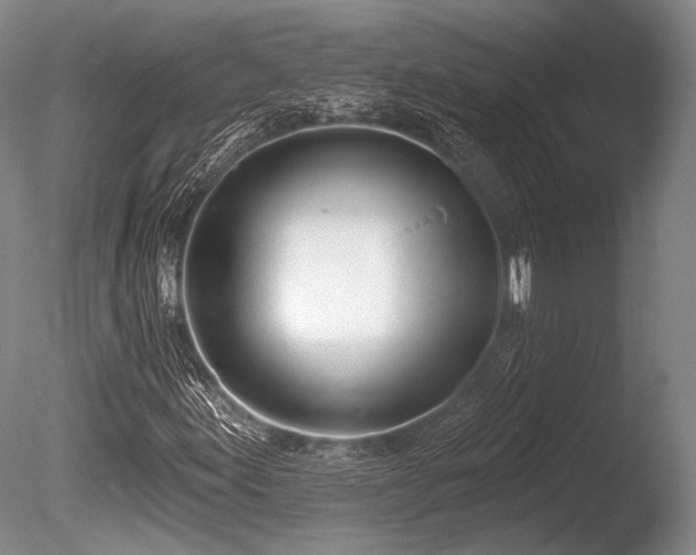 X0000086251155200703291359
