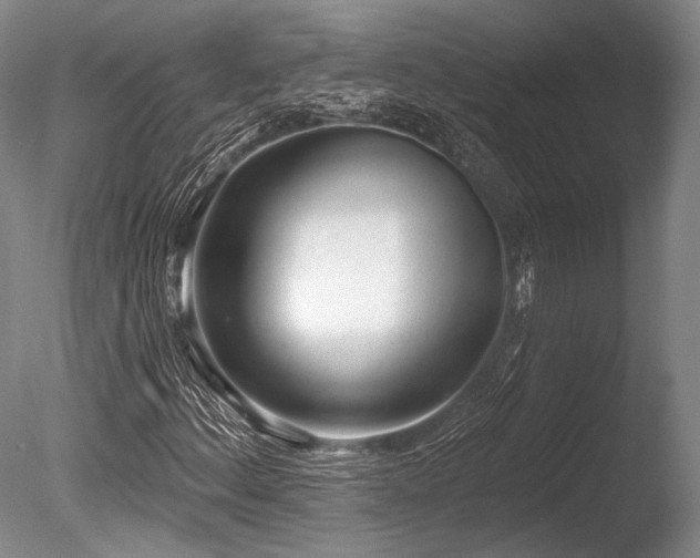 X0000086251156200703291359