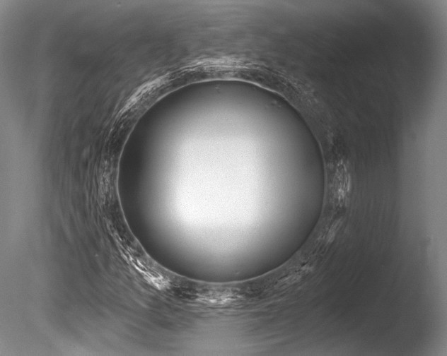X0000086251157200703291359