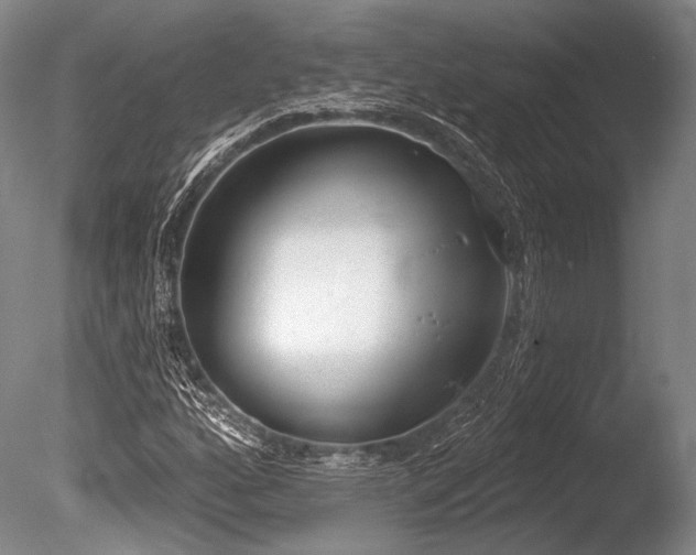 X0000086251160200703291359