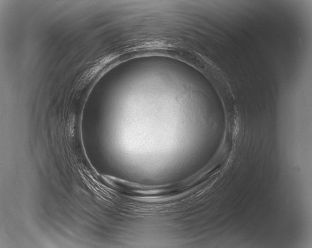 X0000086251161200703291359