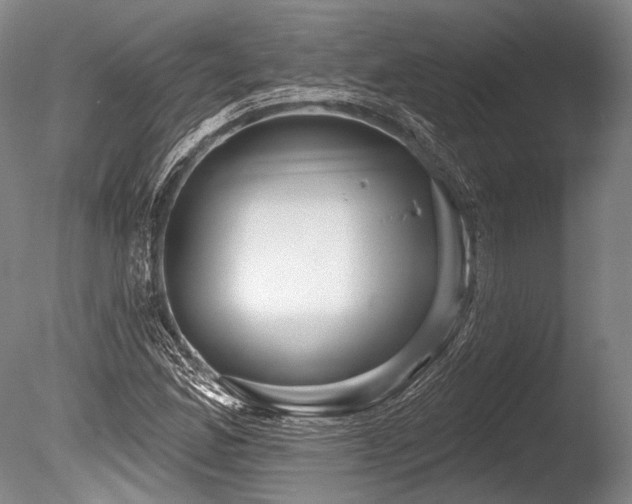 X0000086251165200703291359