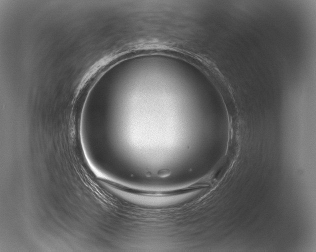 X0000086251167200703291359