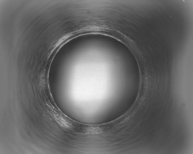 X0000086251170200703291358