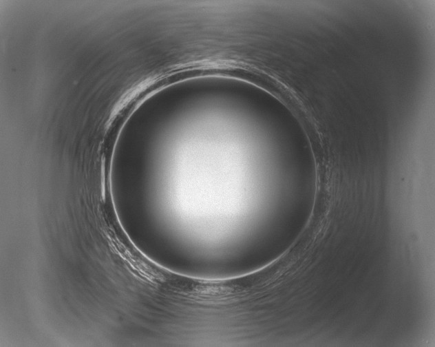 X0000086251171200703291358
