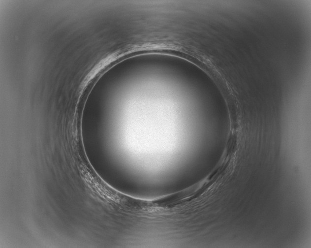 X0000086251173200703291358