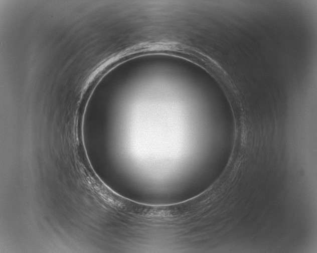X0000086251174200703291358