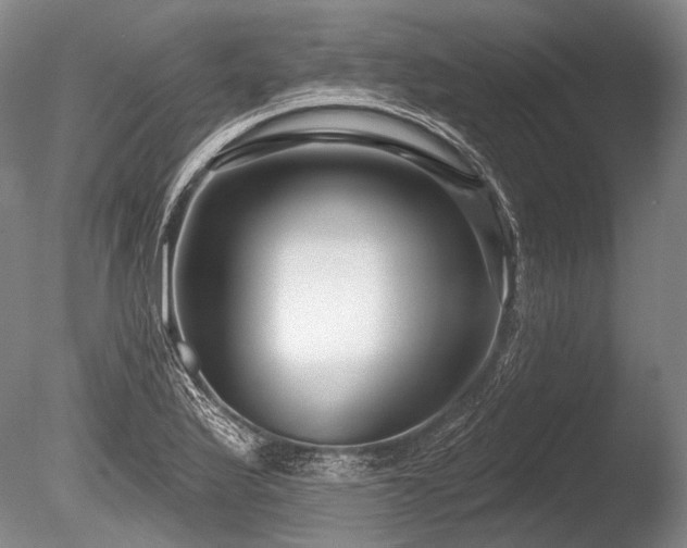 X0000086251175200703291358