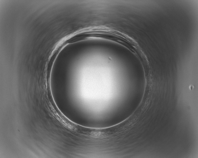 X0000086251176200703291358