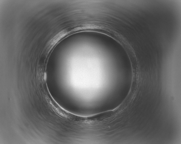 X0000086251177200703291358