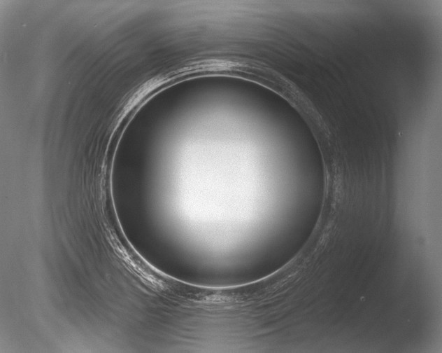 X0000086251178200703291358