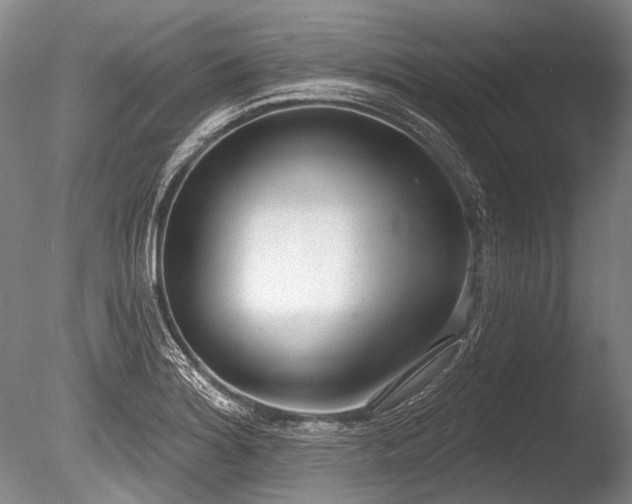 X0000086251180200703291358