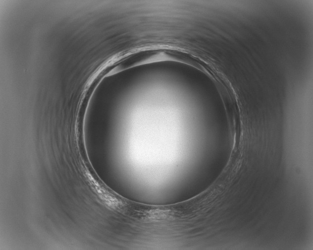 X0000086251181200703291358