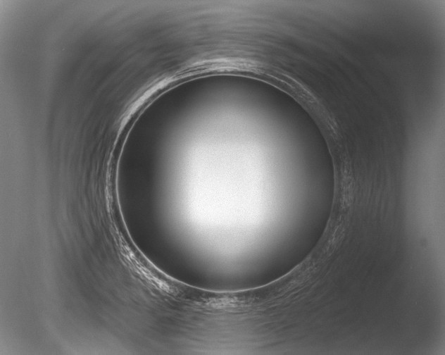 X0000086251182200703291358