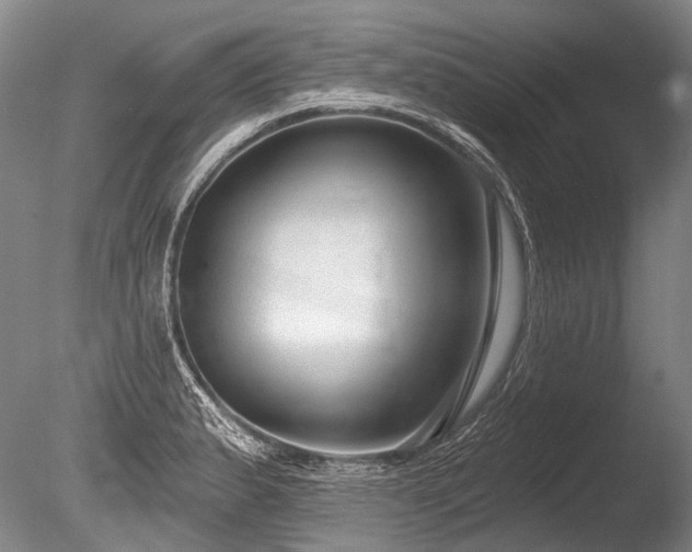 X0000086251183200703291358