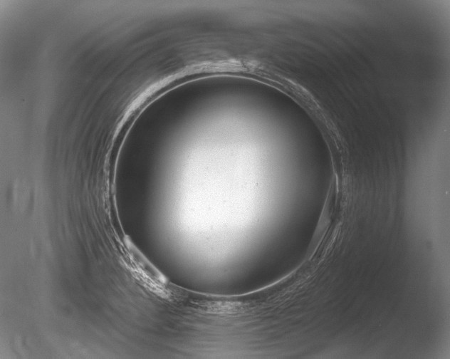 X0000086251184200703291358