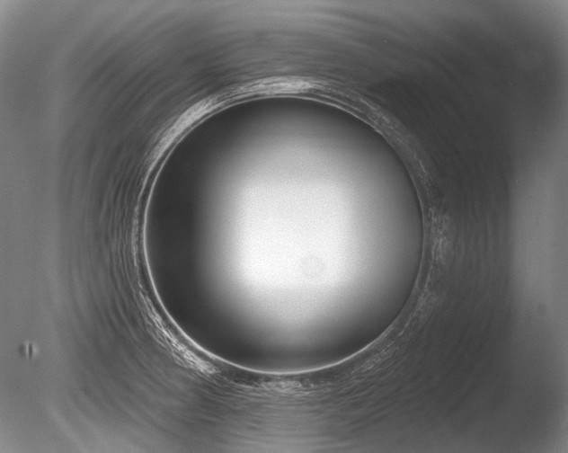 X0000086251186200703291358