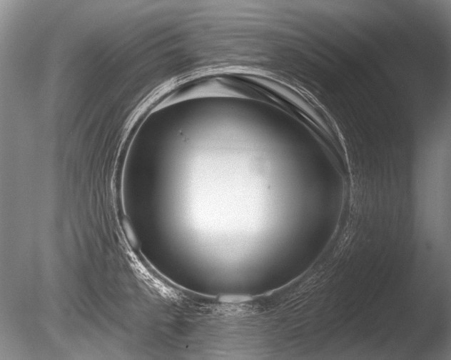 X0000086251189200703291358