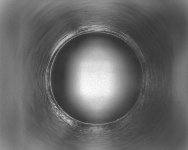 X0000086251190200703291358