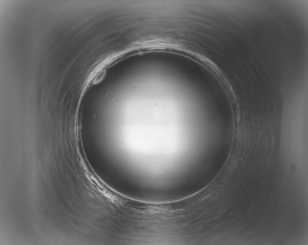 X0000086251191200703291358