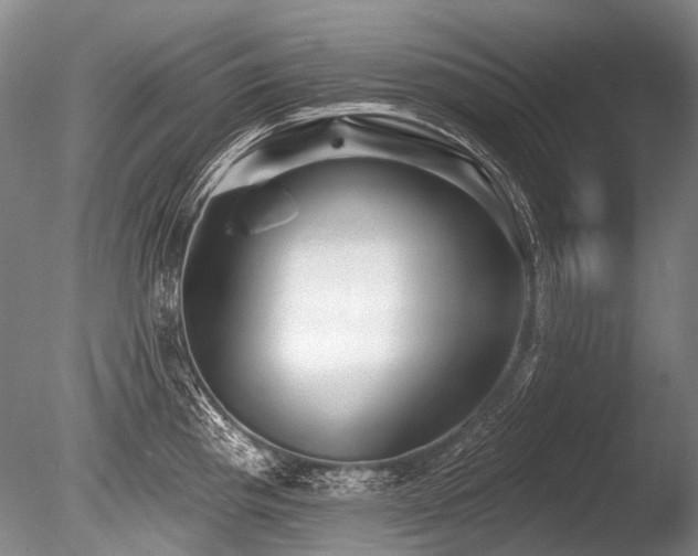 X0000086251193200703291358