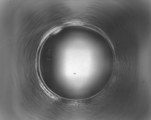 X0000086251195200703291358