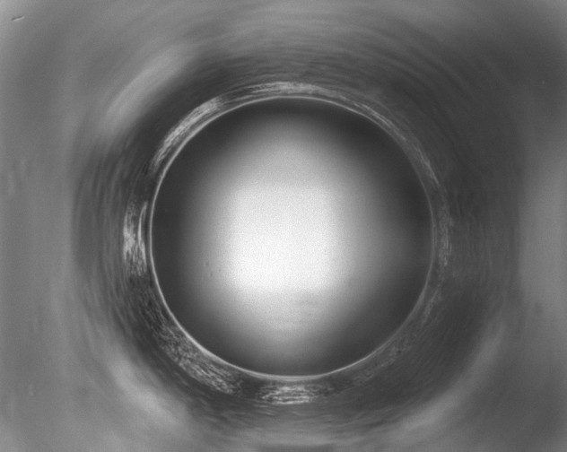 X0000086251198200703291358