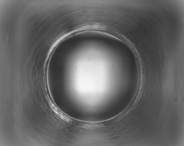 X0000086251200200703291358