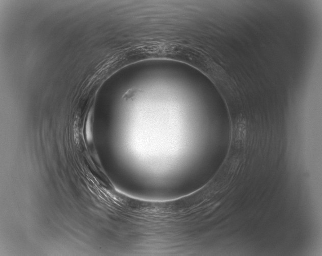 X0000086251202200703291357