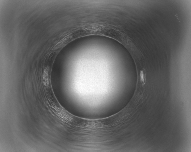 X0000086251203200703291357