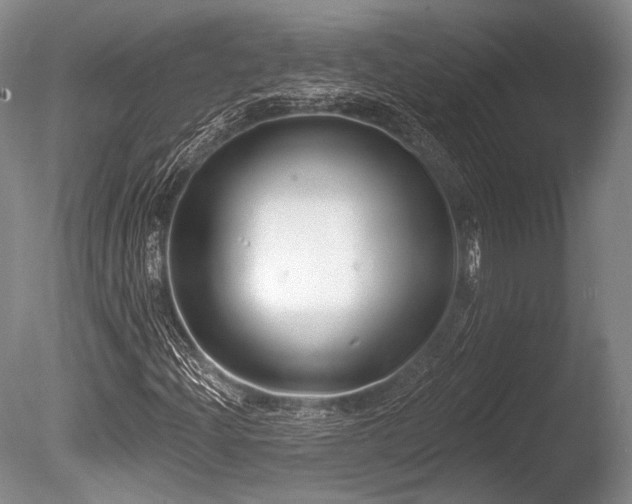 X0000086251204200703291357