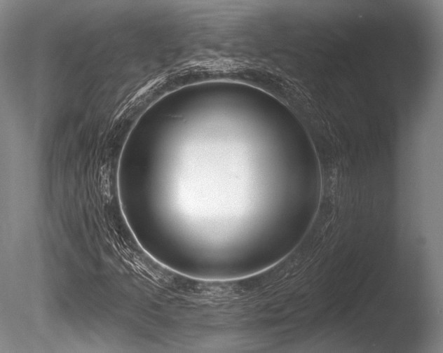 X0000086251205200703291357
