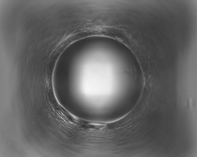 X0000086251206200703291357