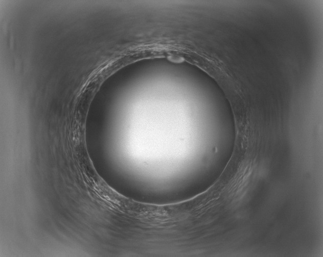 X0000086251207200703291357