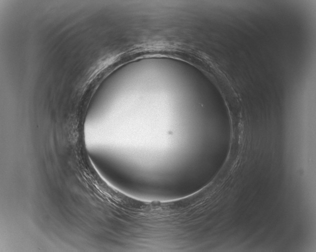 X0000086251213200703291357