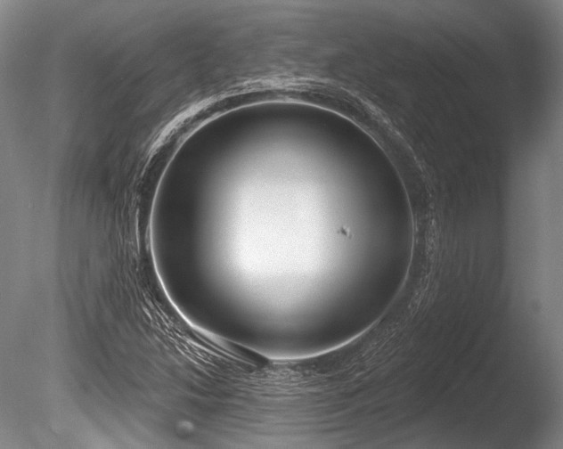 X0000086251214200703291357