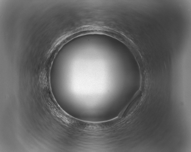 X0000086251215200703291357