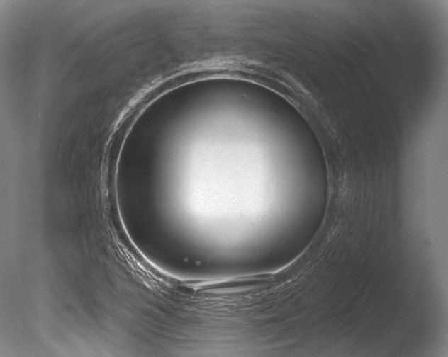 X0000086251216200703291357