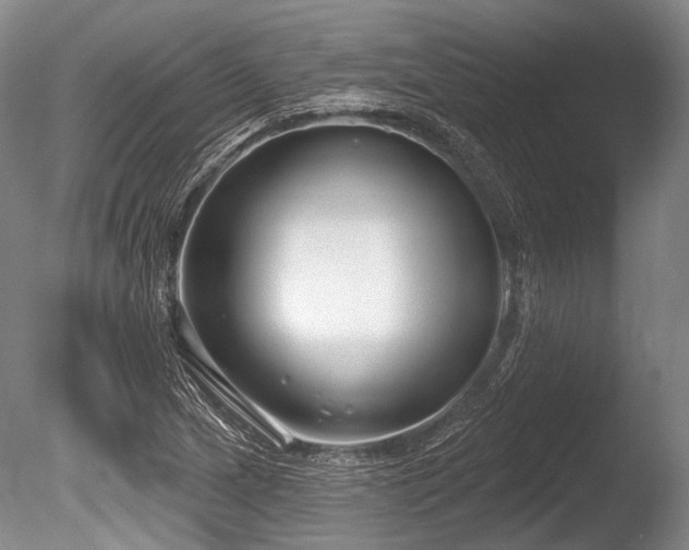 X0000086251217200703291357