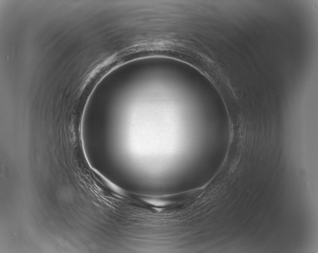 X0000086251218200703291357