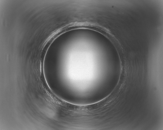 X0000086251221200703291357